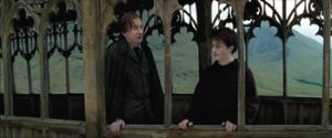 Fig. 12: Der klippes til en halvnær beskæring af Lupin og Harry.