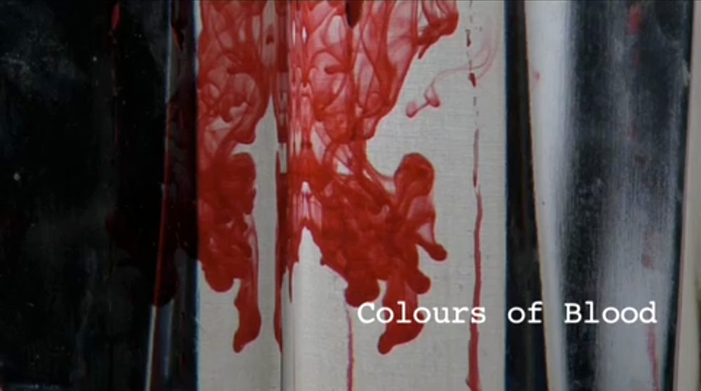Fig. 12: Mennesker, der alle er opslugte af blod, er omdrejningspunktet i den korte dokumentar, Colours of Blood (2009).