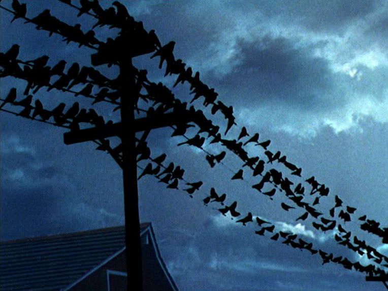 Fig. 6: Several Hitchcock films make it a difficult task to determine their theme.