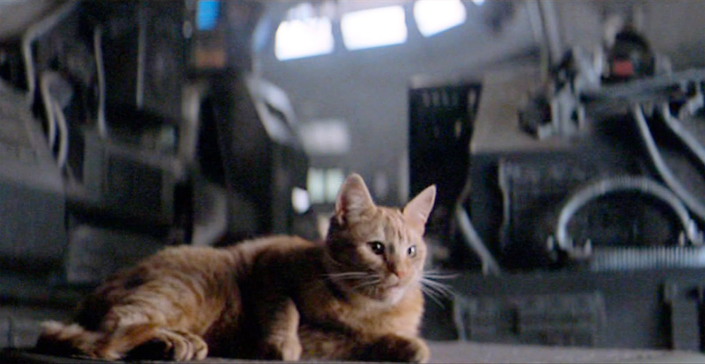 Fig. 8: Jonesy – en dramatisk rekvisit i den første Alien-film.