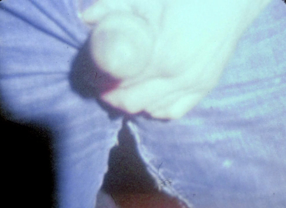 Fig. 14. Anger giver tiggerens underkastelse en homoseksuel klang ved at eksplicitere en fuldt erigeret penis.