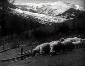 Fig. 7: The Earth Sings (dir. Karel Plicka, 1934). The Slovak mountains are as much a part of the Slovak aesthetic as any cinematic technique. Much of Plicka’s film deals with Slovaks living in these mountains, ignoring the populations that live on flat land in the South, whose culture was not always as “Slovak” as Plicka would have liked.