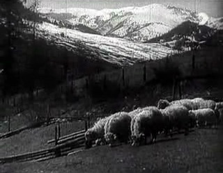 Fig. 7: The Earth Sings (dir. Karel Plicka, 1934). The Slovak mountains are as much a part of the Slovak aesthetic as any cinematic technique. Much of Plicka’s film deals with Slovaks living in these mountains, ignoring the populations that live on flat land in the South, whose culture was not always as “Slovak” as Plicka would have liked.